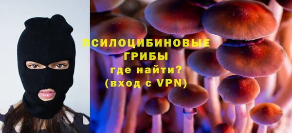 скорость mdpv Белокуриха
