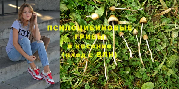 крисы Беломорск