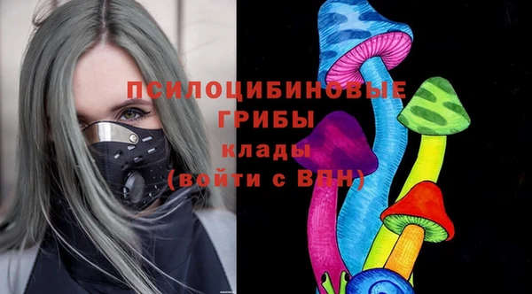 крисы Беломорск
