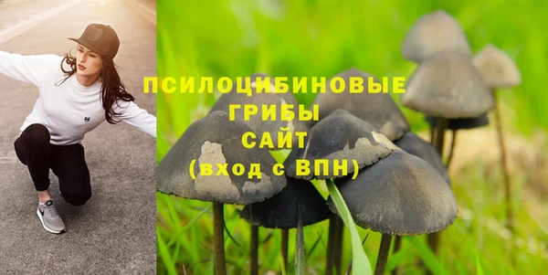 apvp Одинцово