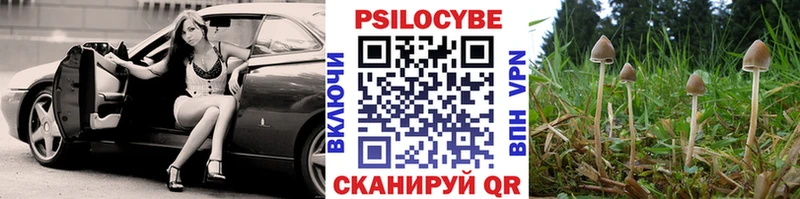 Псилоцибиновые грибы MAGIC MUSHROOMS  купить наркотик  Верещагино 